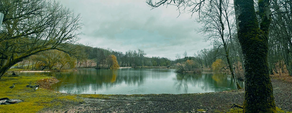 Etang 3 : pêche au sandre et au brochet